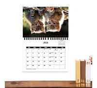 Calendrier des chats 2025, calendrier amusant des chats 2025 | Calendrier mural carré 2024 | Calendrier planificateur photo Cute Kitty Cat, 11,22 x 8,27 x 0,2 pouces, planificateur 12 m