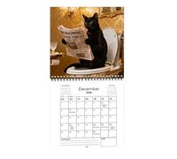 Calendrier des chats 2026 - Avec blocs de notes lignées - Calendrier planificateur de chat en train de lire un journal - pour décoration de maison, bureau, école, salle de classe, planification des