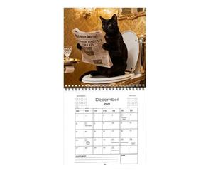 Calendrier des chats 2026 - Avec blocs de notes lignées - Calendrier planificateur de chat en train de lire un journal - pour décoration de maison, bureau, école, salle de classe, planification des