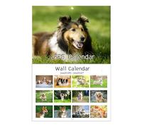 Calendrier Des Chats 2026 Créatif Et Mignon