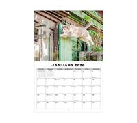 Calendrier des chats 2026 - Planificateur de 13 mois | Almanach de chats | Pour mur, pour étudiants, enseignants indépendants et bureaux, école, maison, dortoir, étude