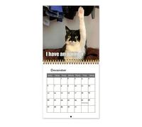 Calendrier Des Chats Drôles 2026 - Calendrier De Bureau | Planificateur De Chat Mignon De 12 Mois | Outil De Planification De Rappel Des Vacances Verticales Mensuelles Pour Les Vacances Christmas Hall