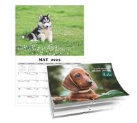 Calendrier Des Chiens 2025 | Calendrier Mural Des Chiens Mignons 2025 | Calendrier À Suspendre De 13 Mois | Calendrier Imperméable Pour Chiens Et Animaux, Planificateur Esthétique, Décoration Maison