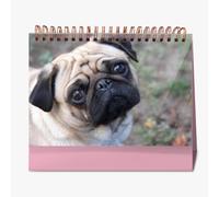 Calendrier des fleurs de montagne suisses Edelweiss 2026, calendriers de bureau pour agriculteurs