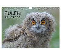 Calendrier des hiboux, Version française (Calendrier mural 2026 DIN A4 portrait), Calendrier CALVENDO mensuel