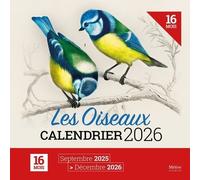 Calendrier Des Oiseaux