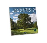 Calendrier des plus beaux arbres de France 2024 - Collectif - Bayard Presse - broché - Calendrier