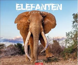 Calendrier éléphants 2025 : les doux géants de l'Afrique, représentés dans un grand calendrier mural. Calendrier photo de haute qualité entièrement impressionnant... x 46 cm paysage (calendrier animal