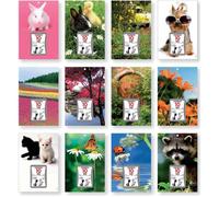 Calendrier éphéméride LECAS 2014 comique sur plaque nature