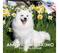 Calendrier Eskimo américain 2026 - Calendrier mural 16 mois de race de chien par MegaCalendars - Grands blocs quotidiens, papier épais sans bavure, fabriqué aux États-Unis