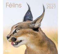 Calendrier Félins 2027 (2027)