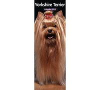 Calendrier fin 2015 Yorkshire Terrier