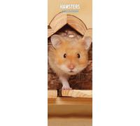 Calendrier fin 2025 Hamsters