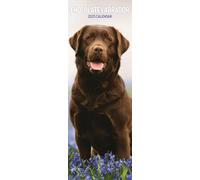 Calendrier fin 2025 Labrador Chocolat