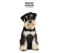 Calendrier fin 2025 Schnauzer miniature