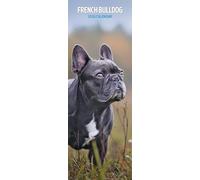 Calendrier fin 2026 bouledogue français