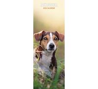 Calendrier fin 2026 Jack Russell