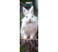 Calendrier fin 2026 Lapins