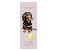 Calendrier fin 2027 A Dog's Life' Dog
