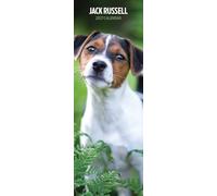 Calendrier fin 2027 Jack Russell
