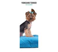 Calendrier fin 2027 Yorkshire Terrier