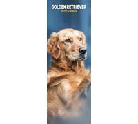 Calendrier fin Golden Retriever 2027