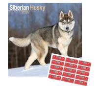Calendrier Husky de Sibérie 2026 | 16 mois | Avec autocollants d’organisation offerts