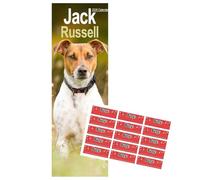 Calendrier Jack Russell Slim 2026 | Calendrier Slimline des races de chiens | Calendrier mural 12 mois | Janvier 2026 à décembre 2026 | Avec autocollants d'organisation gratuits