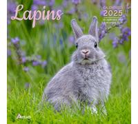 Calendrier Lapins 2025