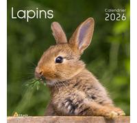 Collectif – Calendrier Lapins 2026 – Calendrier – Broché
