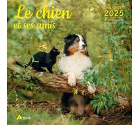 Calendrier Le chien et ses amis 2025 - Collectif - Artemis Eds - broché - Calendrier