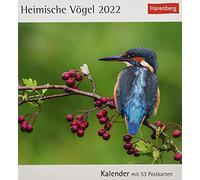 Calendrier maison oiseaux 2022 : calendrier avec 53 cartes postales