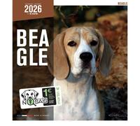 Calendrier Martin Sellier Beagle Blanc TU
