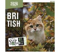 Calendrier Martin Sellier British Blanc TU