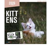 Calendrier Martin Sellier Chatons Blanc TU