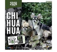 Calendrier Martin Sellier Chihuahua Blanc TU