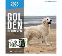 Calendrier Martin Sellier Golden Retriever Blanc TU