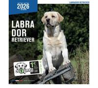 Calendrier Martin Sellier Labrador Blanc TU
