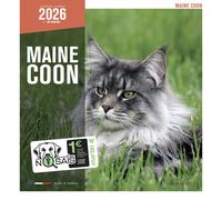 Calendrier Martin Sellier Maine Coon Blanc TU