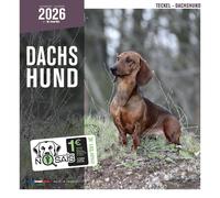 Calendrier Martin Sellier Teckel Blanc TU