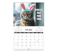 Calendrier mensuel 2025 avec chat | Calendrier 2025 | Calendrier artistique en colère | Calendrier 2025 amusant pour le mois 2025, calendrier mural créatif et mignon chaton 2025