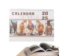 Calendrier mensuel avec boules de chat - Calendrier mural amusant, calendrier annuel 2025, calendrier annuel annuel, calendrier de 12 mois, décoration de lieu de travail