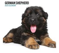 Calendrier moderne 2025 Berger allemand
