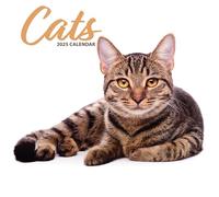 Calendrier moderne 2025 Cat