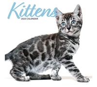 Calendrier moderne 2025 Chatons