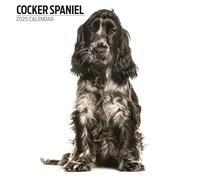 Calendrier moderne 2025 cocker spaniel