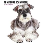 Calendrier moderne 2025 Schnauzer miniature