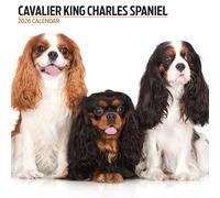 Calendrier Moderne Cavalier King Charles Spaniel 2026