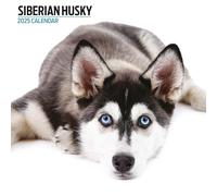 Calendrier moderne Husky de Sibérie 2025