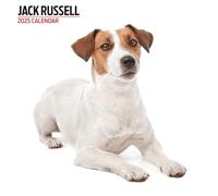 Calendrier Moderne Jack Russell 2025